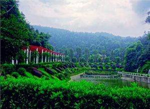 長沙岳麓區 谷豐生態園