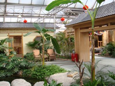 專業設計 施工各種鋼結構智能溫室、鋼結構室內園林景觀生態園工程、網架花卉溫室工程