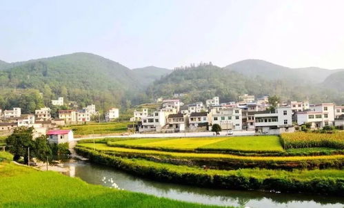 7 種模式讓鄉村旅游開發豐富多彩