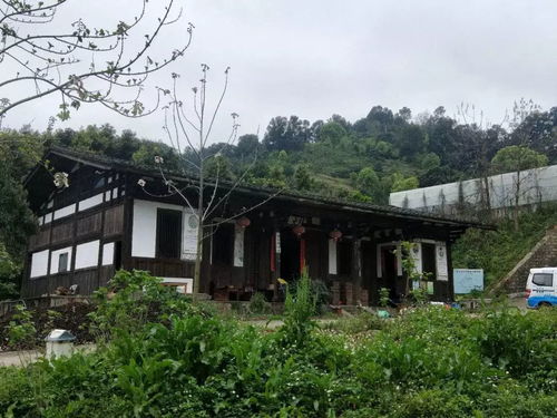 龍臺(tái)山生態(tài)園真人CS體驗(yàn) 生態(tài)與競(jìng)技的完美融合