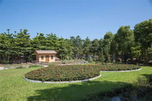 麻涌最美生態園 免費入園，盡享自然饋贈