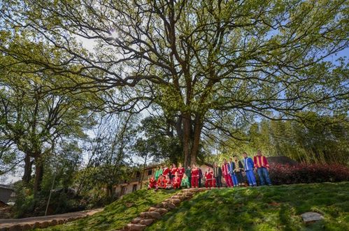 浙江擘畫詩路文化新藍(lán)圖 九市聯(lián)動(dòng)，生態(tài)為基，打造中華文脈傳承創(chuàng)新帶