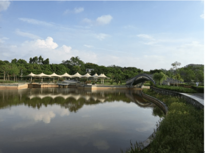 東進(jìn)下的坪山，你還認(rèn)識(shí)嗎？探秘生態(tài)園新篇