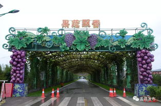 山西華北奕豐生態(tài)園特色農(nóng)產(chǎn)品及旅游產(chǎn)品推介會(huì)盛大啟動(dòng)