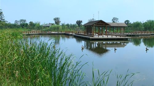 國慶樂游 上海出發(fā)，千燈古鎮(zhèn)與大唐生態(tài)園一日探幽之旅